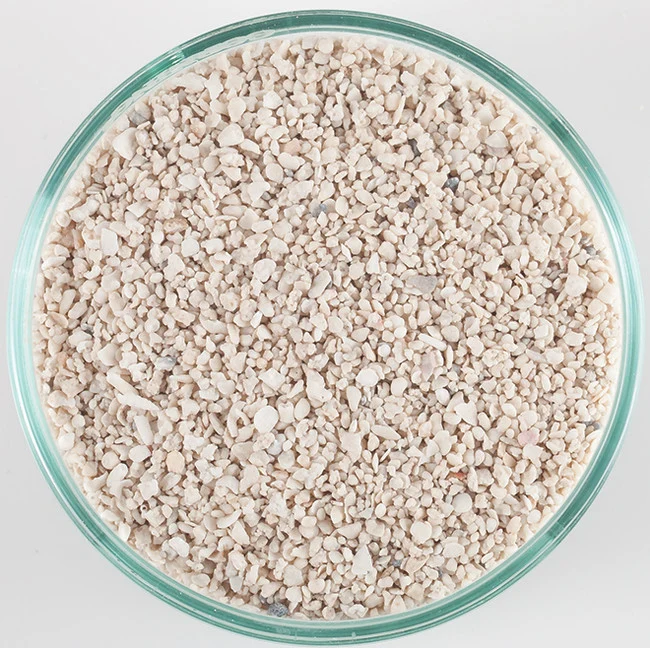 CaribSea Arag-Alive Special Grade Reef Sand (20 lb)